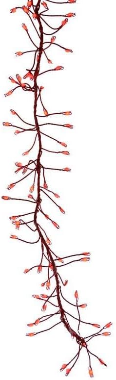 Celebrations CLSTR LED Lght RED 250CT