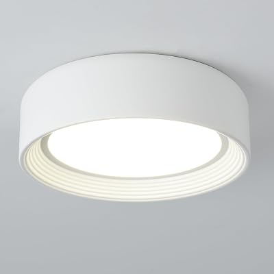 Dimmable Flush Mount Ceiling Light White,24W LED Ceiling Light Fixture,3000K-6500K 5CCT Round 11.81 in Modern Lighting Fixtures for Laundry Room Hallway Kitchen