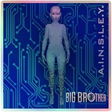 Big Brother Season 26 A.I.N.S.L.EY. Holographic Sticker - Officially Licensed