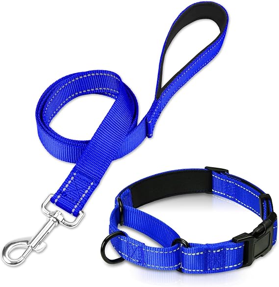 16-20 inches Martingale Dog Collar and 6FT Leash, Reflective Neoprene Padded Pet Collars and Leashes for Medium Dogs