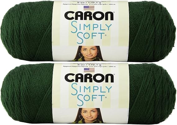 Bulk Buy: Caron Simply Soft Yarn Solids (2-Pack) (Dark Sage)