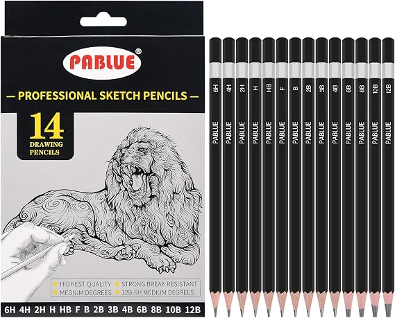 14Pcs Professional Graphite Sketch Pencils for Drawing (6H-12B) | Professional Triangular Graphite Pencils Set (6H,4H,2H,H,HB,F,B,2B,3B,4B,6B,8B,10B,12B) for All Drawing and Shading Needs